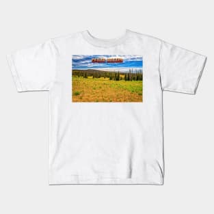 Cedar Breaks National Monument Kids T-Shirt